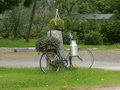 pyörä