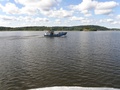 Kalstaja